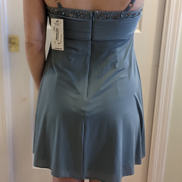 BNWT BCBG Dress (Size 6) - Picture 4 of 4